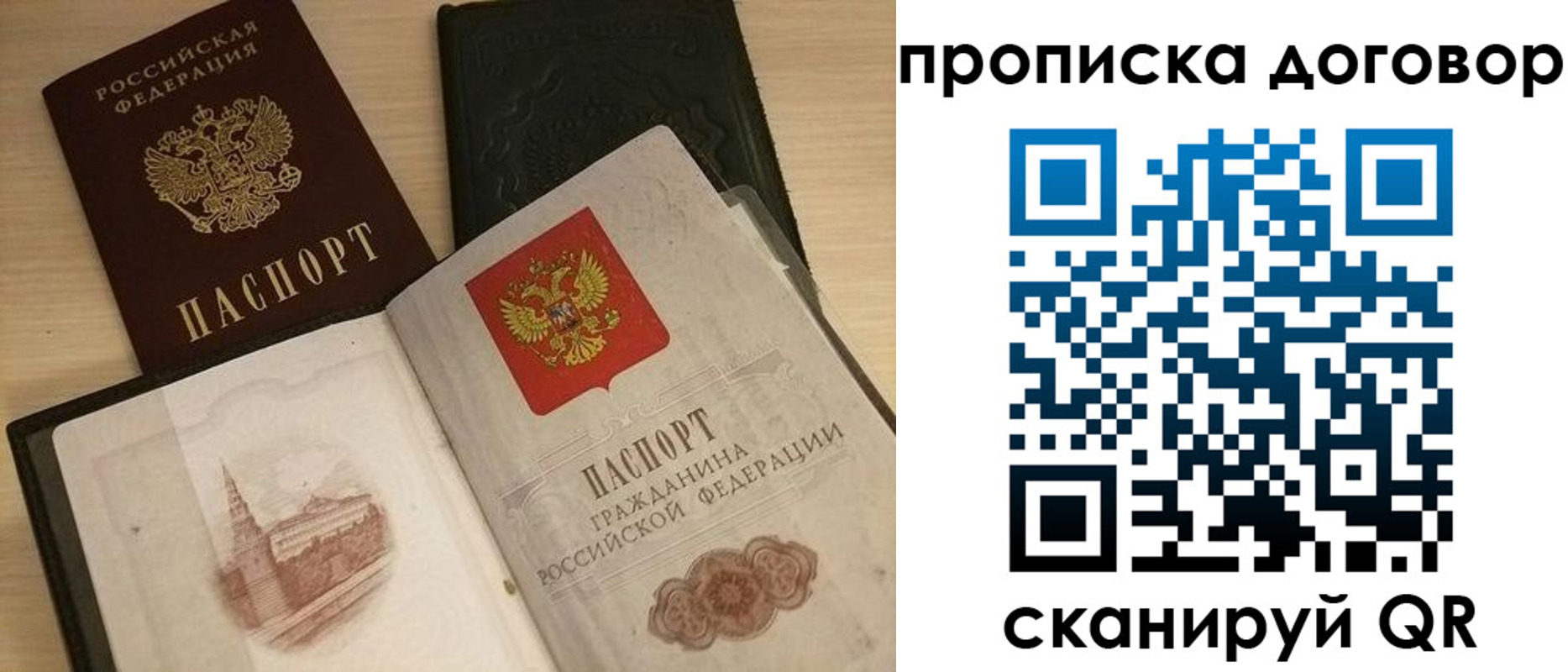 прописка поиск в Светлом